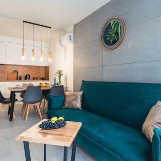 Apartamenty w Karkonoszach - Apartament FoRest (5)