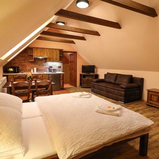 Villa Marie Hořice na Šumavě (5)