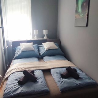 Grey Deluxe Apartman Kaposvár  (5)