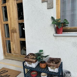 Tavaszpart Vendégház Szeged (4)