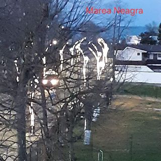 Casa Dragos Saturn (5)