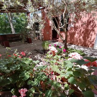 Apartments ANGELO WITH PRIVATE POOL Privlaka (4)