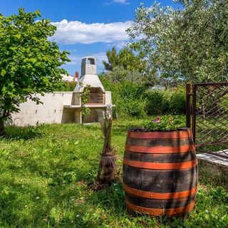 Snjezana Stinjan (2)