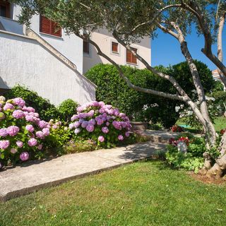 Apartment Smiljana Krk (4)