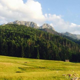 Willa Mnich Zakopane (3)