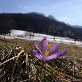 Willa Mnich Zakopane (5)