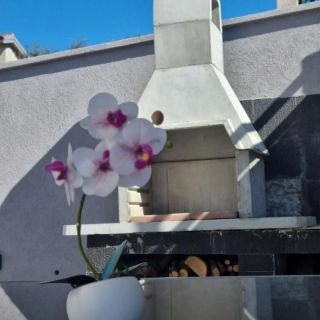 Apartments Valentina Crikvenica (3)