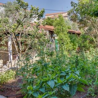 Apartment JULIA Veli Losinj (3)