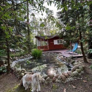 BRZOZOWY ZAKĄTEK Królewo (3)