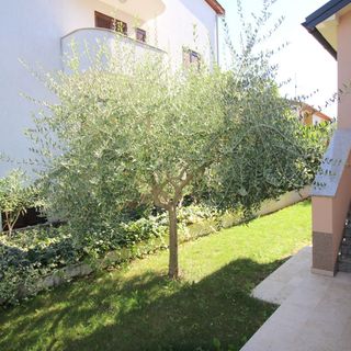 Apartments IKO Porec (5)