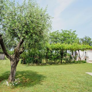 Apartments MIMA Zambratija (4)