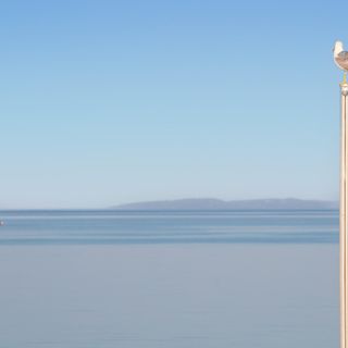 Apartman Novalja - CKP949 (2)