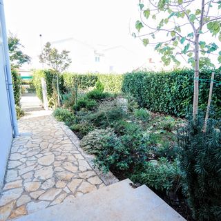 Apartment Vlado Zambratija (5)