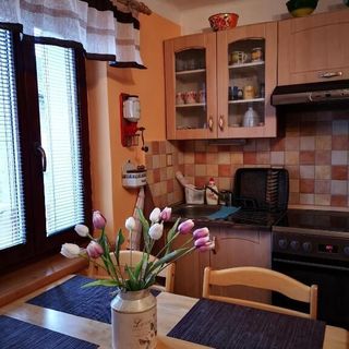 Dráchovský apartmán a vejminek Dráchov (4)