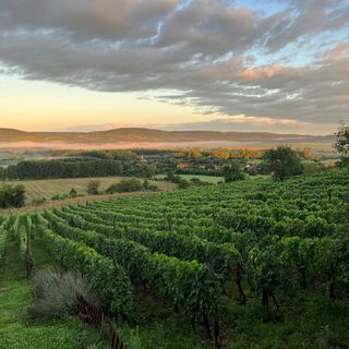 KŐKAPU Présház Raposka (2)