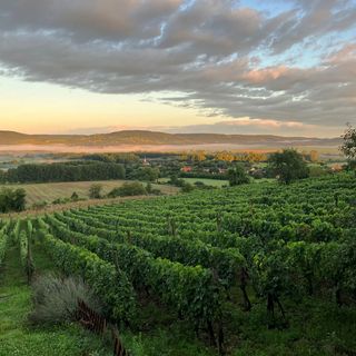 KŐKAPU Présház Raposka (2)