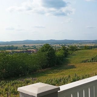 KŐKAPU Présház Raposka (4)