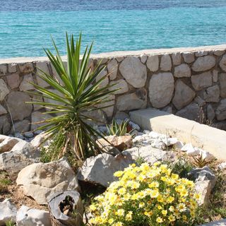 Apartmanok A Tenger Mellett Lun, Pag - 3320 Lun (5)