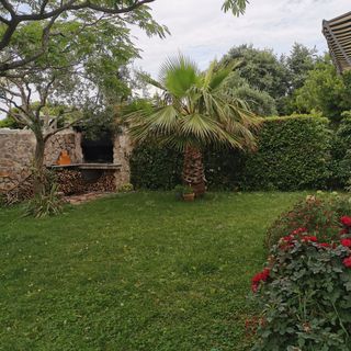 Apartmanok A Tenger Mellett Rogoznica - 4805 (5)