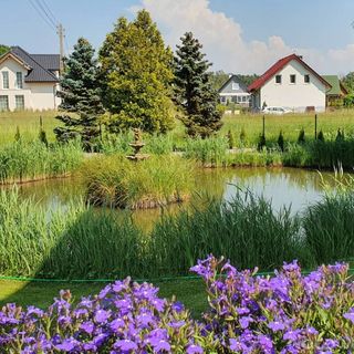 Pokoje Gościnne LAZUR Gdańsk-Sobieszewo (4)