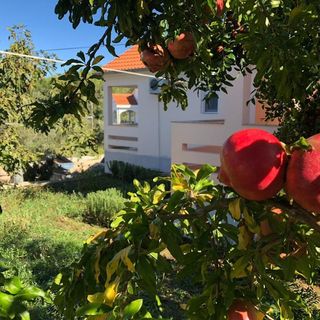 Apartmanok A Tenger Mellett Lukoran, Ugljan - 20387 Lukoran (4)