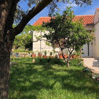 Apartmanok A Tenger Mellett Lukoran, Ugljan - 20387 Lukoran (3)