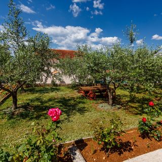 Apartmanok Parkolóhellyel Njivice, Krk - 20505 Njivice (4)