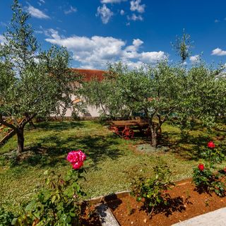 Apartmanok Parkolóhellyel Njivice, Krk - 20505 Njivice (4)