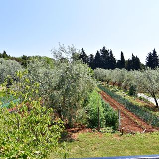 Apartmanok Parkolóhellyel Basanija, Umag - 20522 Bašanija (4)