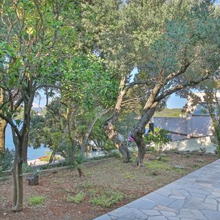 Ház Gyermekes Családok Részére A Tenger Mellett Zrnovska Banja, Korcula - 20618 Žrnovska Banja (4)