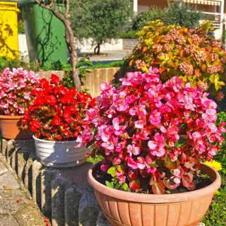 Apartmanok Parkolóhellyel Rabac, Labin - 20746 Rabac (5)