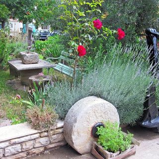 Apartmanok Parkolóhellyel Mrljane Pasman - 20850 (3)