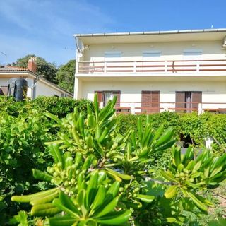 Apartmanok A Tenger Mellett Pag - 20961 (5)