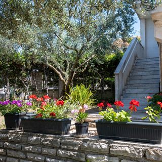 Apartmanok Parkolóhellyel Sveti Filip I Jakov, Biograd - 21221 Sveti Filip I Jakov (3)