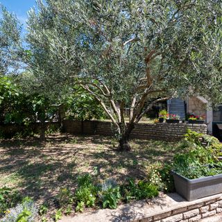 Apartmanok Parkolóhellyel Sveti Filip I Jakov, Biograd - 21221 Sveti Filip I Jakov (4)