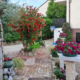 Apartmanok Parkolóhellyel Umag - 21460 (3)