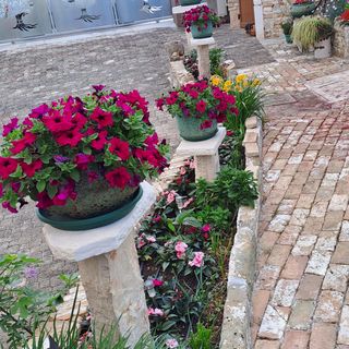 Apartmanok Parkolóhellyel Umag - 21460 (5)