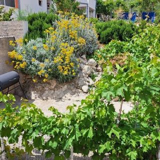 Apartmanok A Tenger Mellett Igrane, Makarska - 21577 Igrane (4)