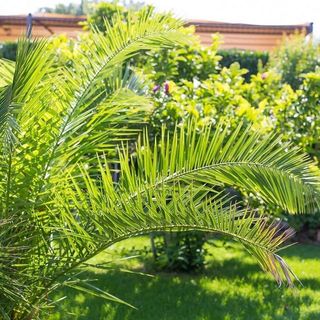 Apartmanok A Tenger Mellett Vantacici, Krk - 21699 Vantačići (4)