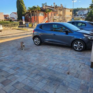 Apartmanok Parkolóhellyel Porec - 22124 Poreč (5)