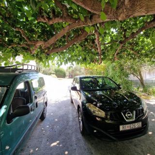 Apartments With Parking Space Barbat, Rab - 22167 Barbat (5)