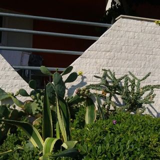 Apartmanok A Tenger Mellett Öböl Mala Lamjana Ugljan - 22928 (4)