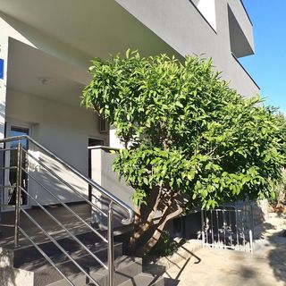 Apartment Marko Starigrad Paklenica (3)