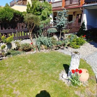 Pokoje i Apartament Zacisze Jelenia Góra (5)