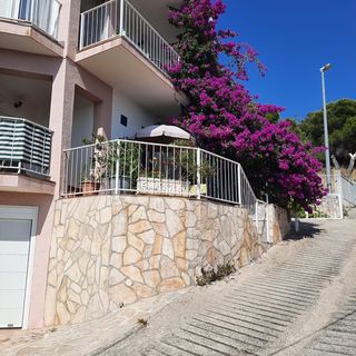 Apartments Aldo Primosten (4)