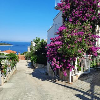 Apartments Aldo Primosten (5)