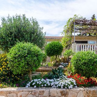 House Kelava Basina (4)