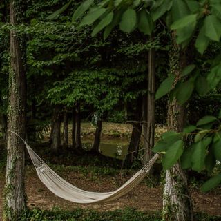 Camping La Balta Vadu Crişului (4)