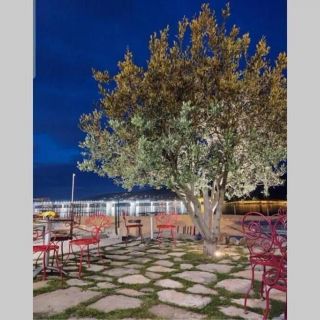 Apartment Oleandar Trogir (3)