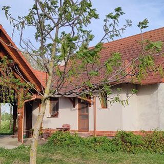 Felföldi Tanya Vendégház Kiskunmajsa (5)